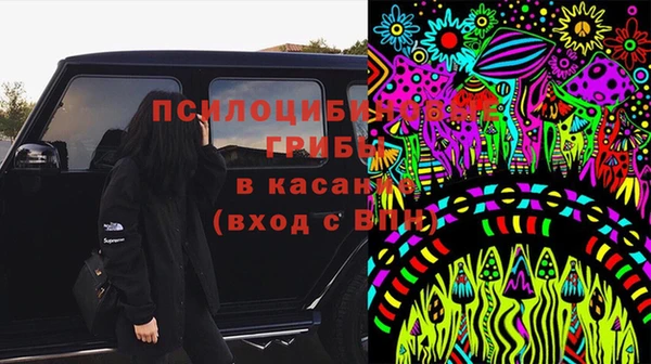 эйфоретик Гусиноозёрск