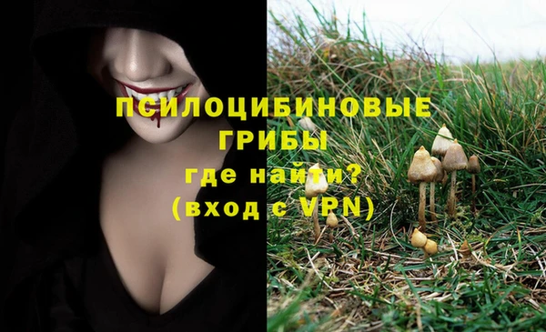 эйфоретик Гусиноозёрск