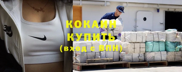 apvp Няндома