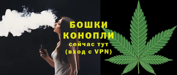 гашик Нягань