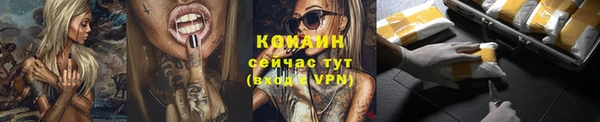 прущие крисы Горняк